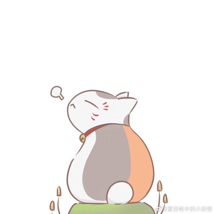 龙猫